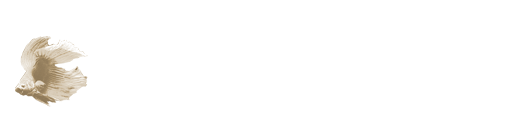普段の管理